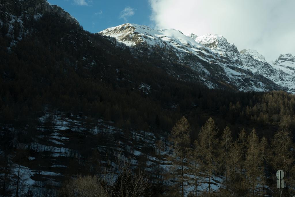 Hotel Etoile De Neige Valtournenche Buitenkant foto
